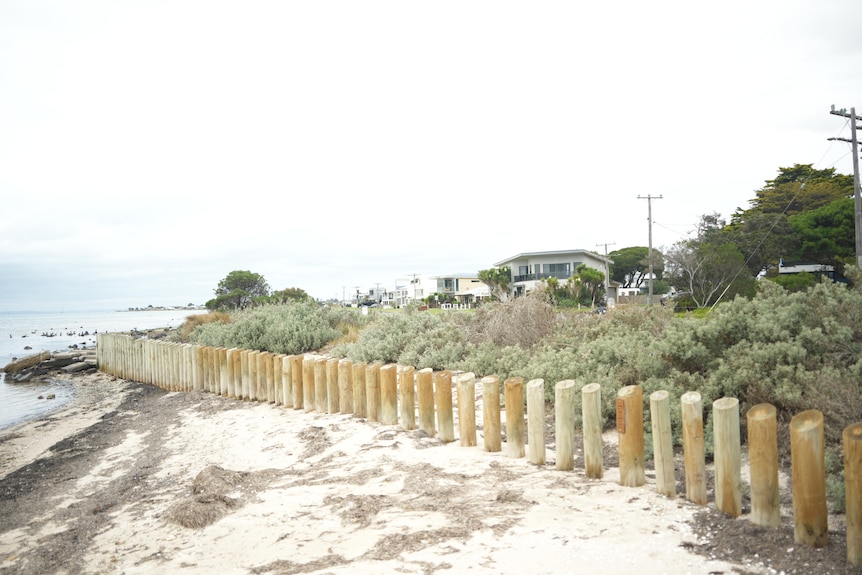 A sand fence along a stretch of coastline.