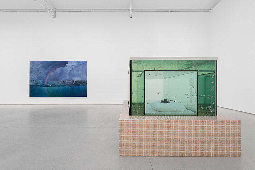 dreamlike aquarium of 'kissing fish' becomes a chamber to lie within - 1