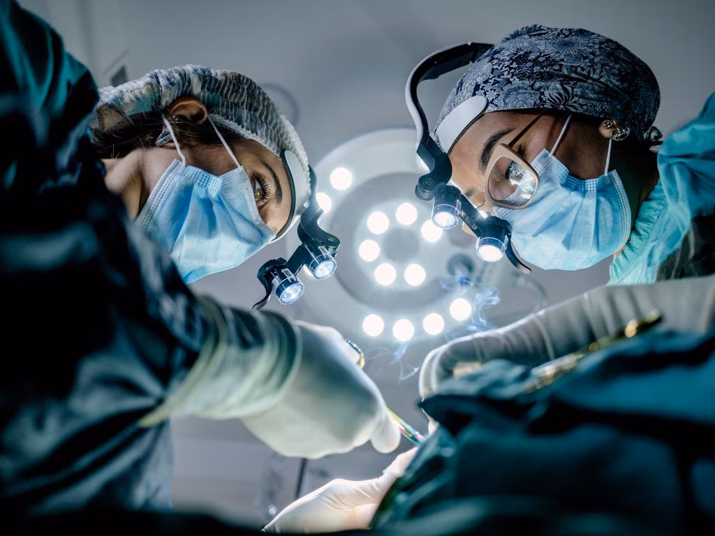 Subscribe to The Australian | Newspaper home delivery, website, iPad, iPhone & Android apps