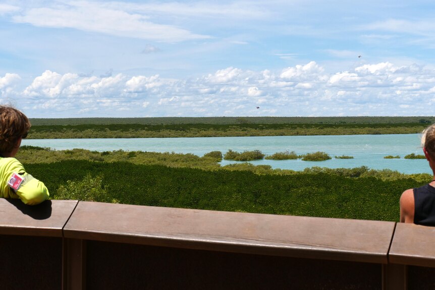 Back view of two people watching helicopters over a bay
