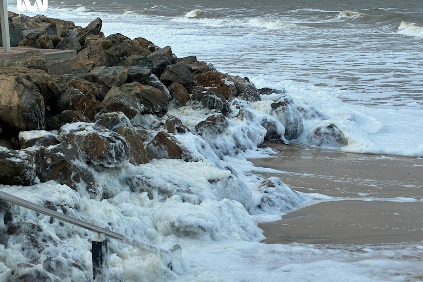 Algal bloom foam on rocks