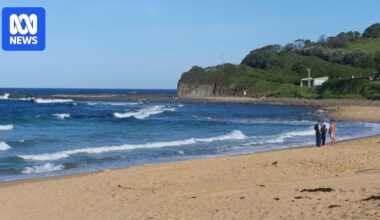 Body of missing swimmer found at Werri Beach on NSW south coast