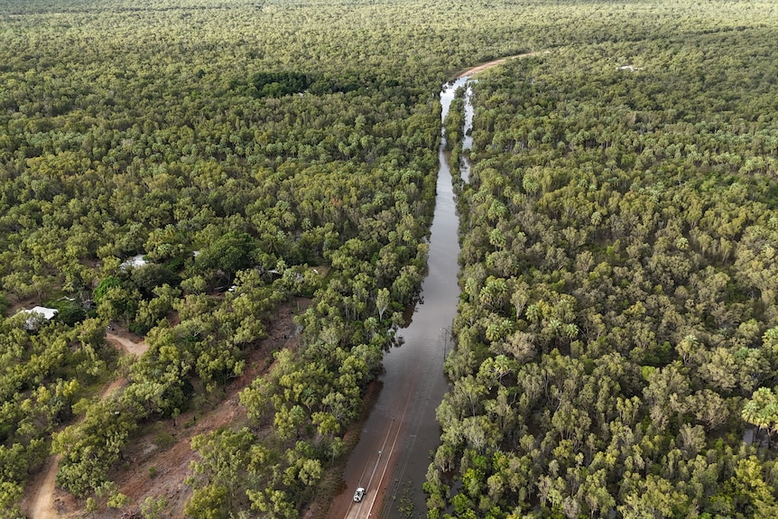 A road in a forest of trees has been cut-off by floodwaters over the bitumen.