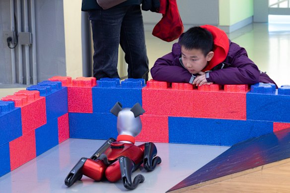 A young boy is intrigued by Xiao Bai the robot dog that can respond to basic commands such as “shake hands”. The commercial market for humanoid robots remains uncertain. 
