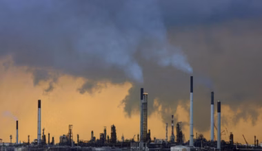 Live blog: Oil crisis worse than 1970s shocks combined, IEA warns, Auss fuel supply fears grow