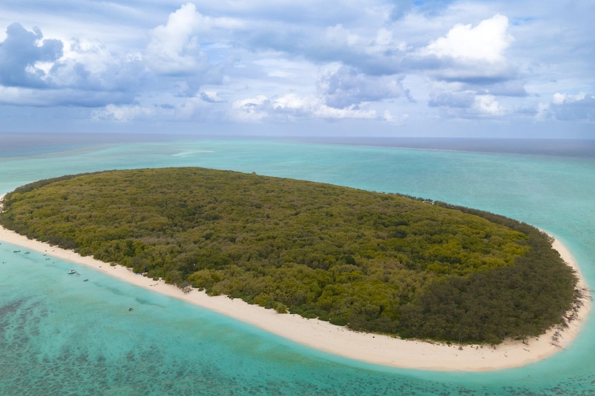 Aerial image of island with trees and white sand with green blue water 