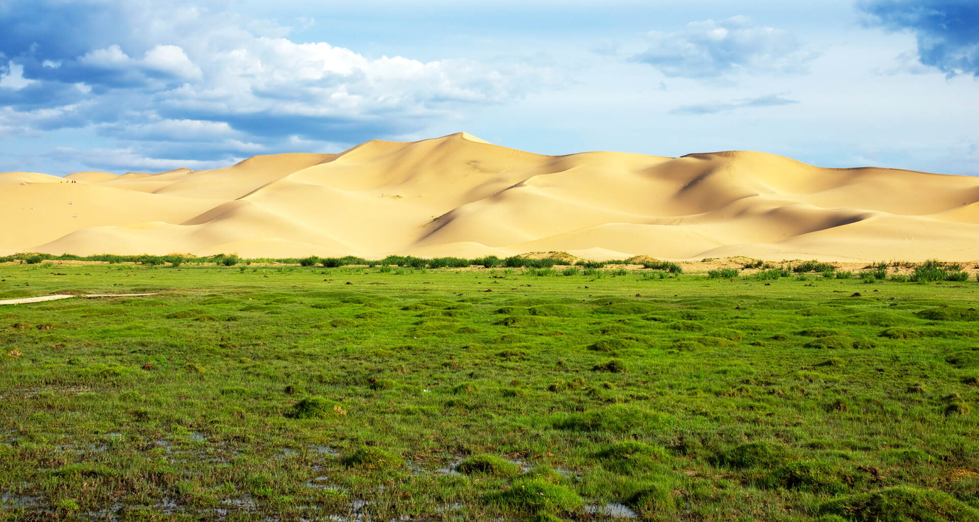 Earth's green center is shifting and changing global agriculture