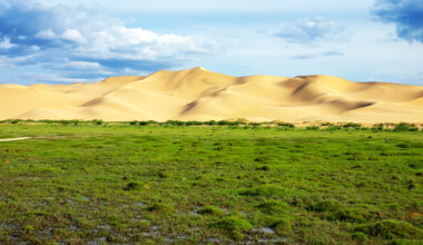 Earth's green center is shifting and changing global agriculture