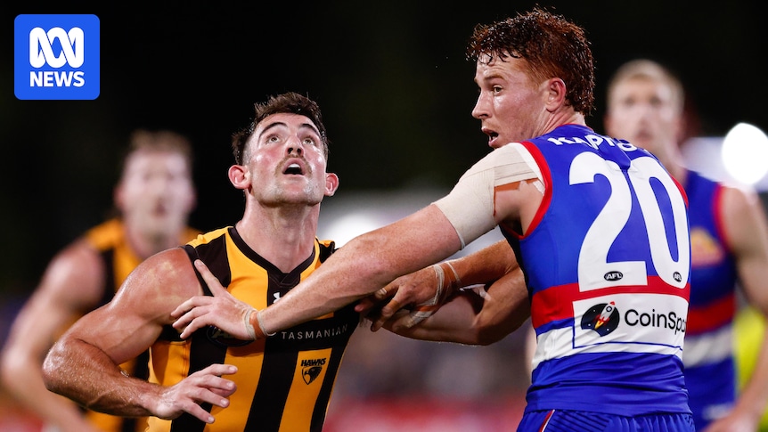 Hawthorn co-captain Jai Newcombe gets one-week ban for rough conduct, Hawks to appeal