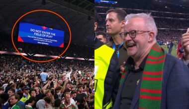 Anthony Albanese risks ban after joining thousands of NRL pitch invading fans celebrating Alex Johnston's try-scoring history