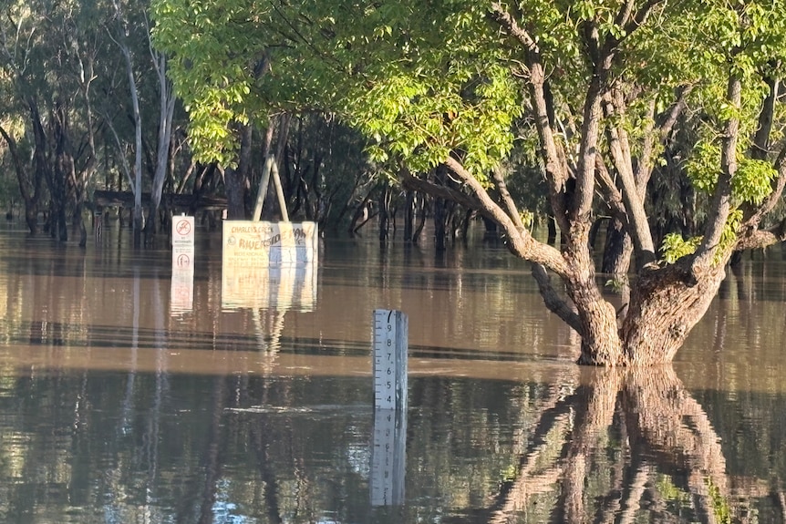 flooding that has submerged a sign