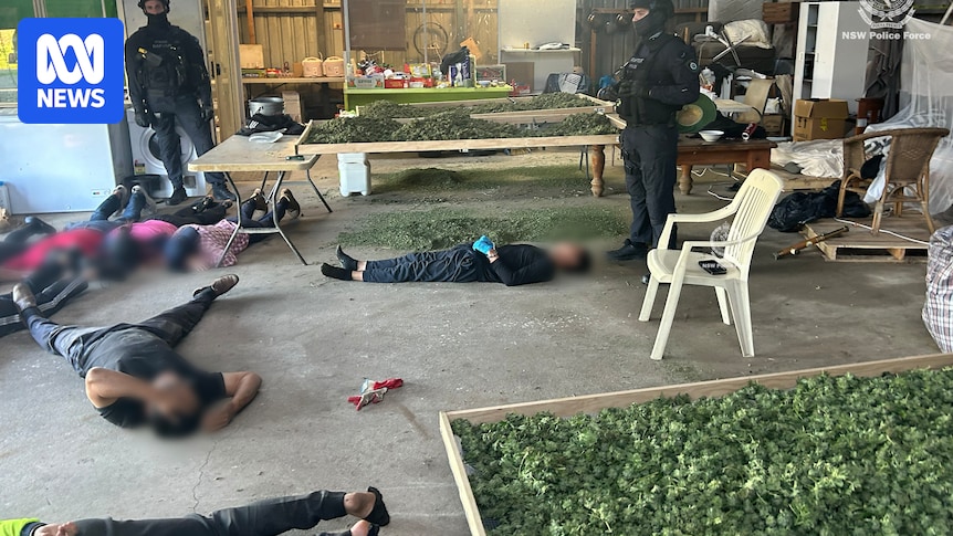 Cleaning job offer led to woman's arrest at Calderwood cannabis farm, court hears