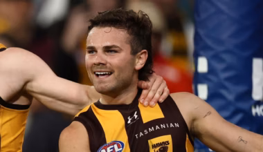 Hawks’ Nick Watson targeted by bottle-throwing Swans supporter