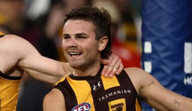 Hawks’ Nick Watson targeted by bottle-throwing Swans supporter