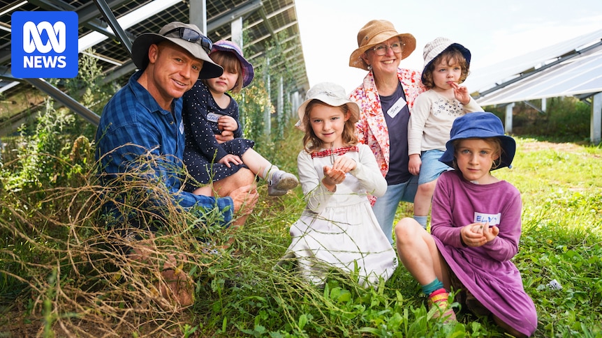 Goulburn community solar farm plugs in after 12-year journey