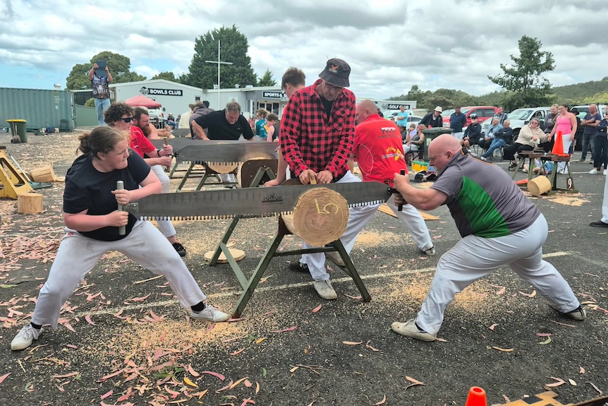 teenage girl and her father stand at either end of a long saw blade, sawing through a log of wood
