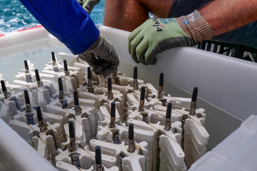 Stacks of white triangle-shaped objects in a white tub on the edge of a boat in the ocean.