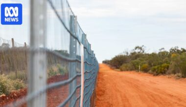 NSW government ends 400km border fence project seven years in the making