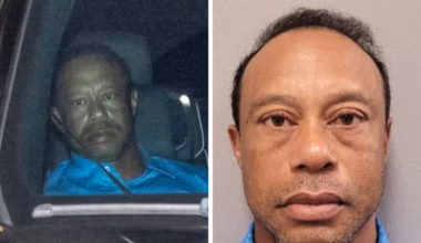 Tiger Woods was involved in the car crash.