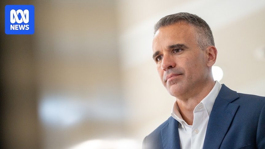 SA government's cancer patient email blunder was 'completely unacceptable', premier says