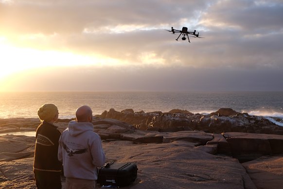 Researchers send a drone over Seal Rocks off Phillip Island.