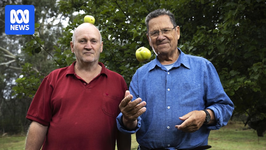 Rare Rymer apples found on NSW Southern Tablelands farm