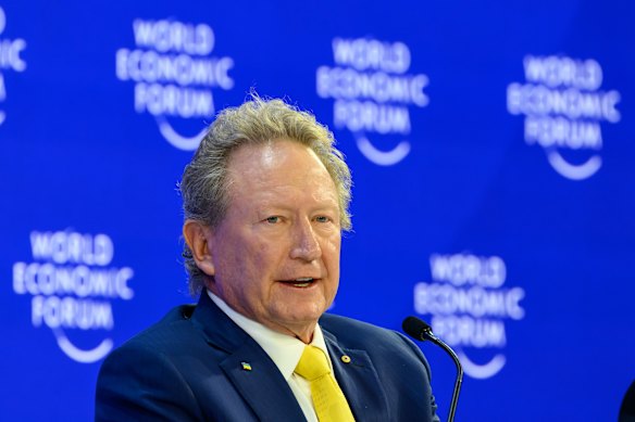 Andrew Forrest is leading the legal challenge. 