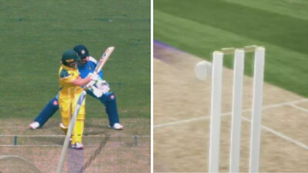 Alyssa Healy is hit on the pads.