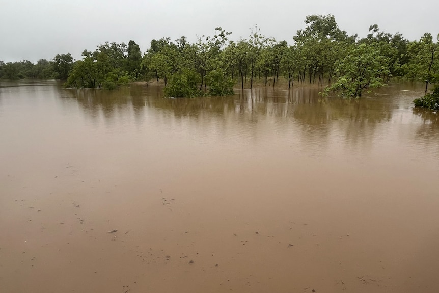 A bridge over a swollen river.