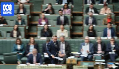 Fuel dominates politics, Hanson confused over Rinehart flight questions