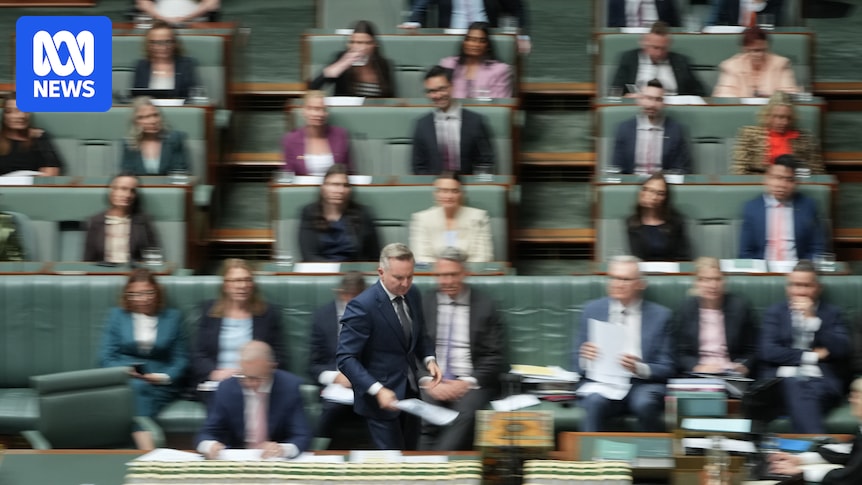 Fuel dominates politics, Hanson confused over Rinehart flight questions