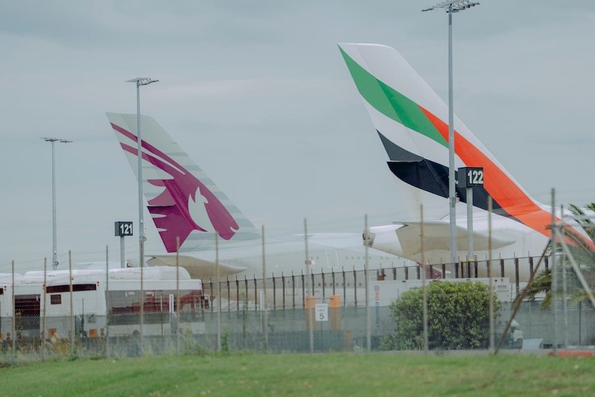 Planes on the tarmac at Sydney Airport.