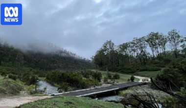 Helicopter crashes near Drake, in north-east New South Wales