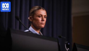 Organised criminals increasingly working with foreign 'despots and dictators', AFP boss warns