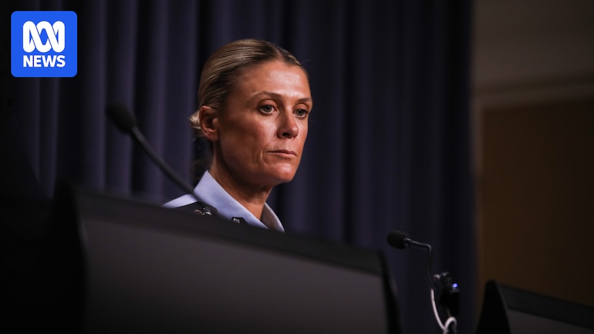 Organised criminals increasingly working with foreign 'despots and dictators', AFP boss warns