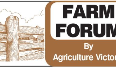 Ideal conditions for flystrike