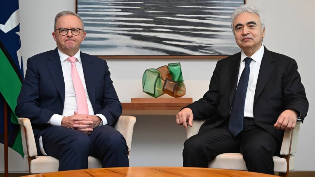 Albanese issues new world warning amid economic chaos