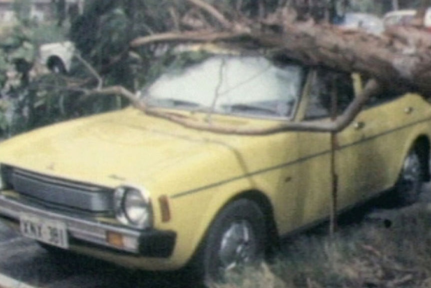 Looking back on Cyclone Alby four decades on