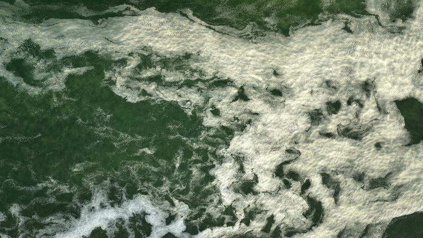 White foam on top of green water. The foam is being rippled and swirled by the movement of the ocean.