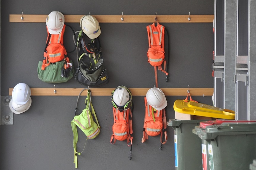 Hats hang on a wall at the plant