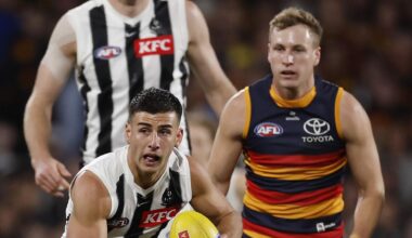 Live scores, updates, stats, video, stream, result, news, blog