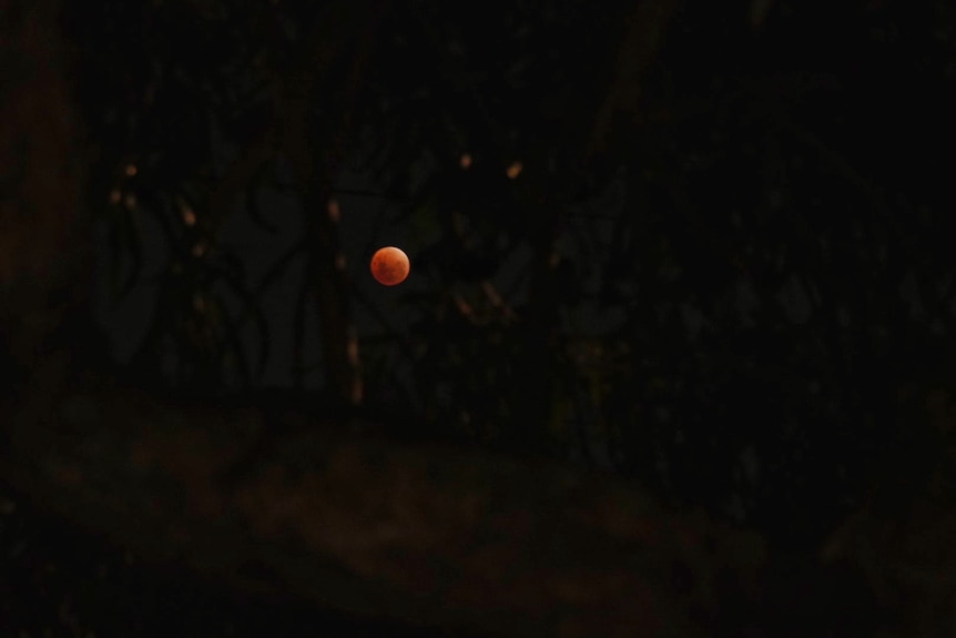 A wide shot of blood moon in the sky.