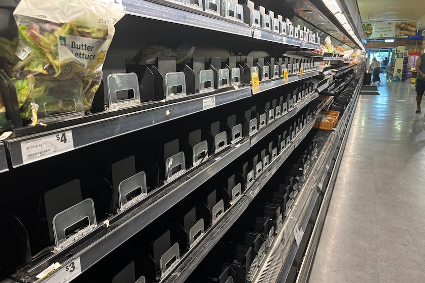 A fresh produce section inside a grocery store, where a single packet of salad is left on the shelf.