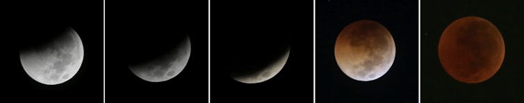 A series of images showing a Moon be gradually eclipsed and turn red.