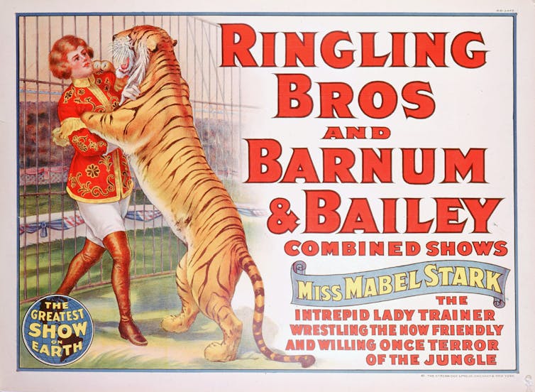 A colorful advertisement for Ringling Bros and Barnum & Bailey features a young woman engaging with a tiger on its hind legs.