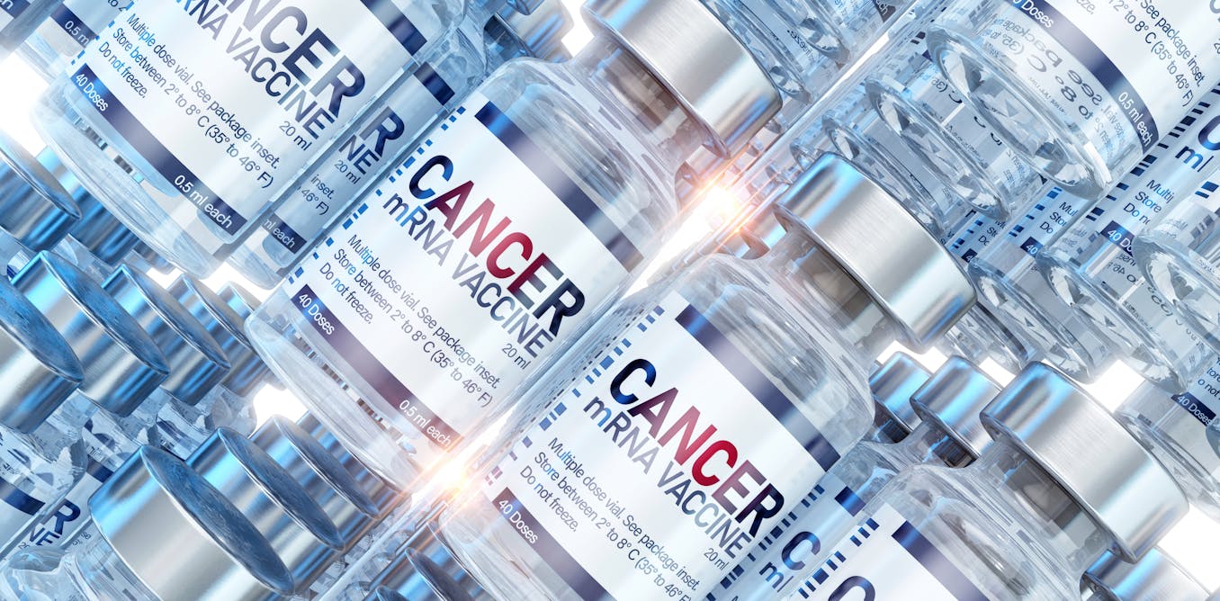 A man used AI to help make a cancer vaccine for his dog – an oncologist urges caution