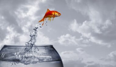 Land animals evolved from ocean ancestors – new study unravels the genetics behind the transition