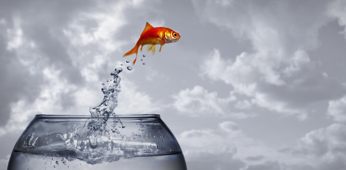 Land animals evolved from ocean ancestors – new study unravels the genetics behind the transition