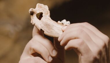 Ancient bones show dogs have been woven into human life for nearly 16,000 years