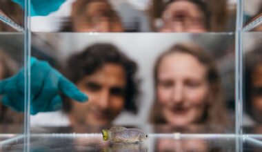 Brighter Side of News